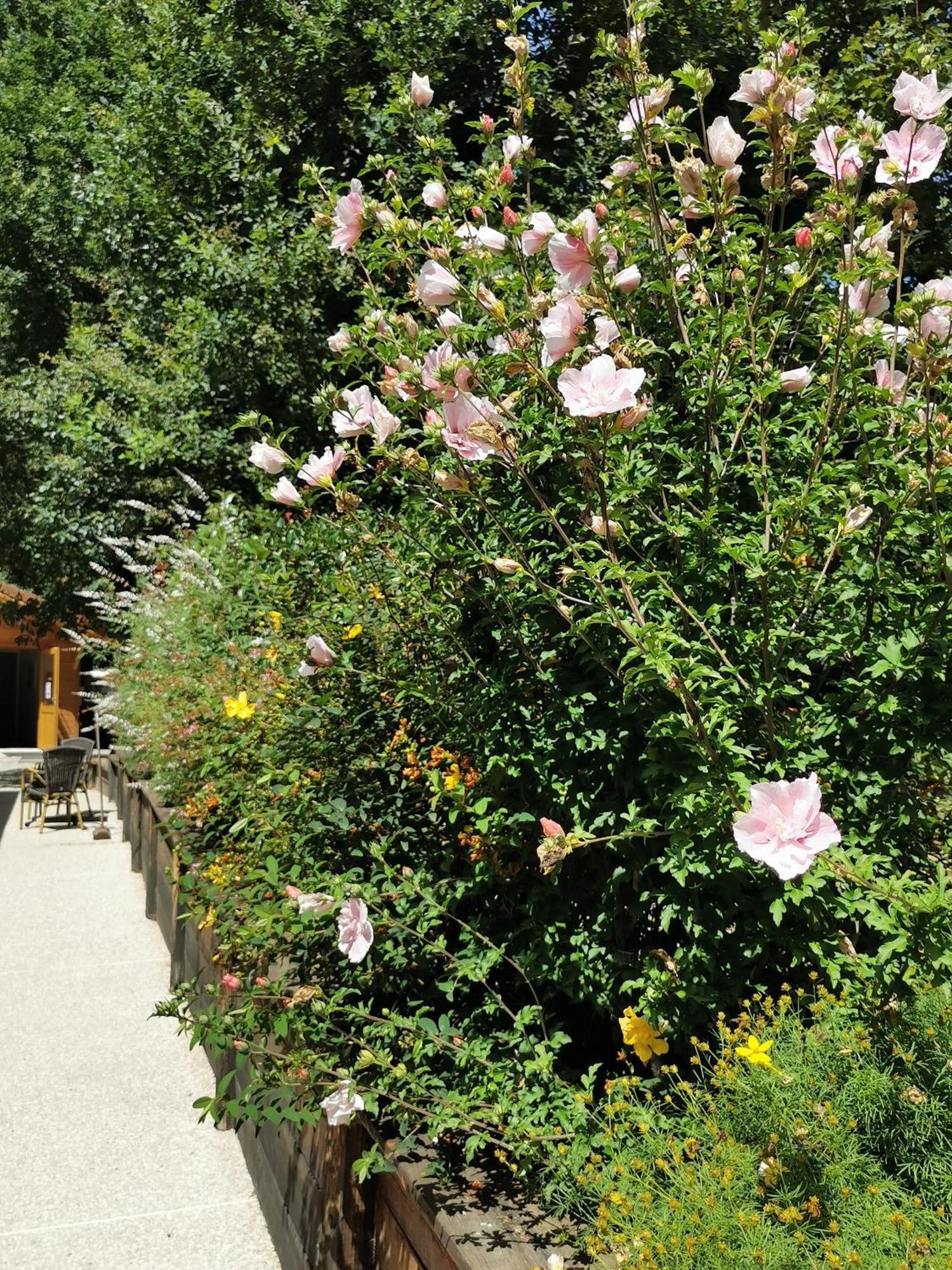 Les Cabanes De Fontfroide Saint-Antoine  Exterior foto
